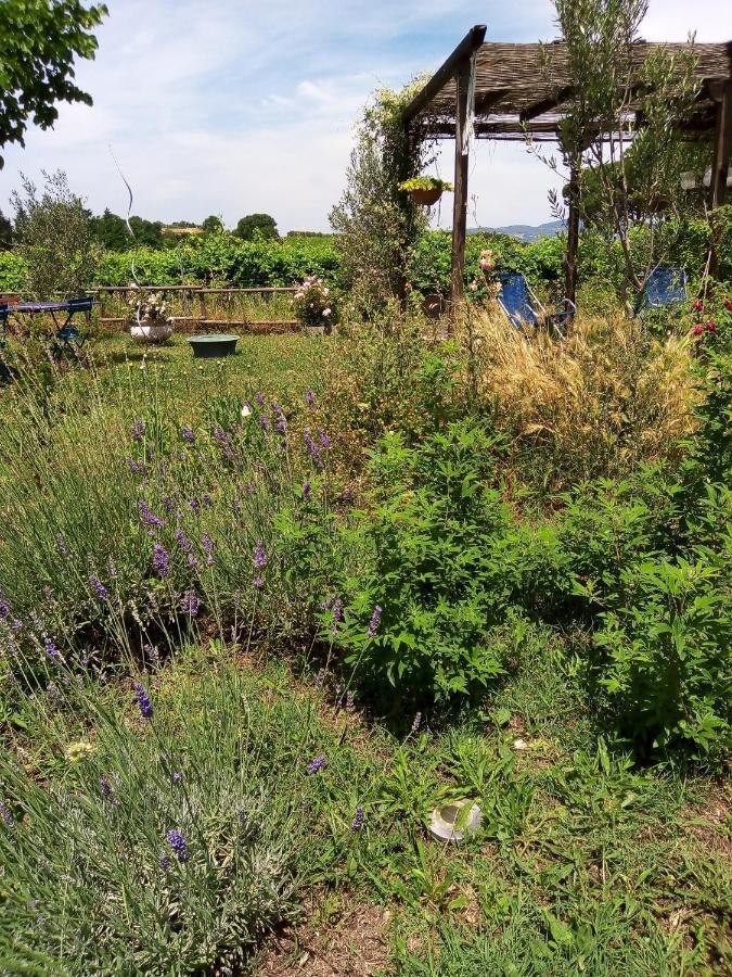 B&B La Gallinella Rossa Baschi Bagian luar foto