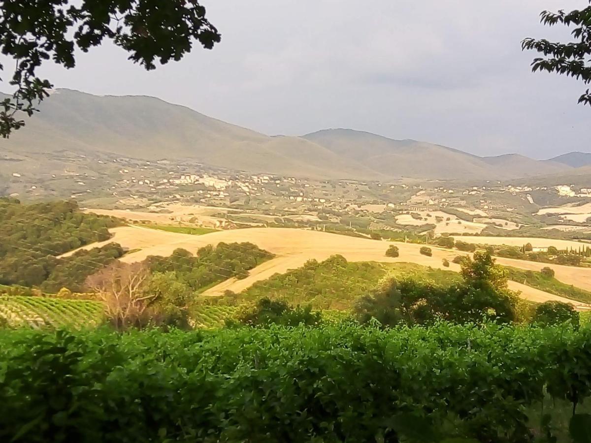 B&B La Gallinella Rossa Baschi Bagian luar foto