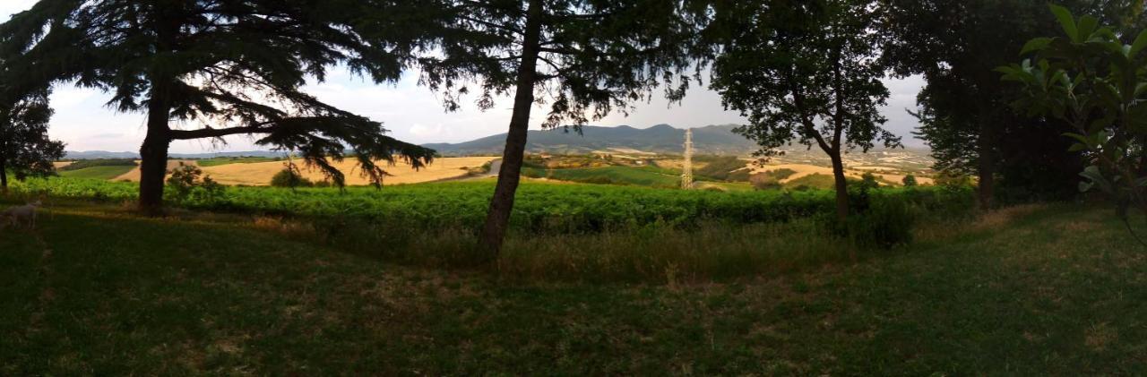 B&B La Gallinella Rossa Baschi Bagian luar foto