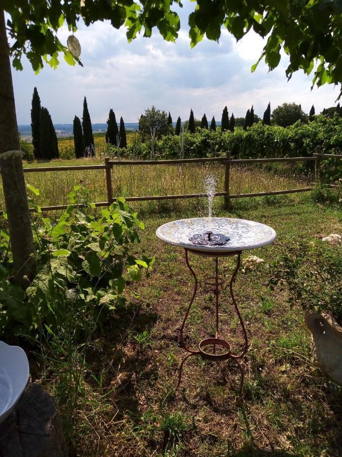 B&B La Gallinella Rossa Baschi Bagian luar foto
