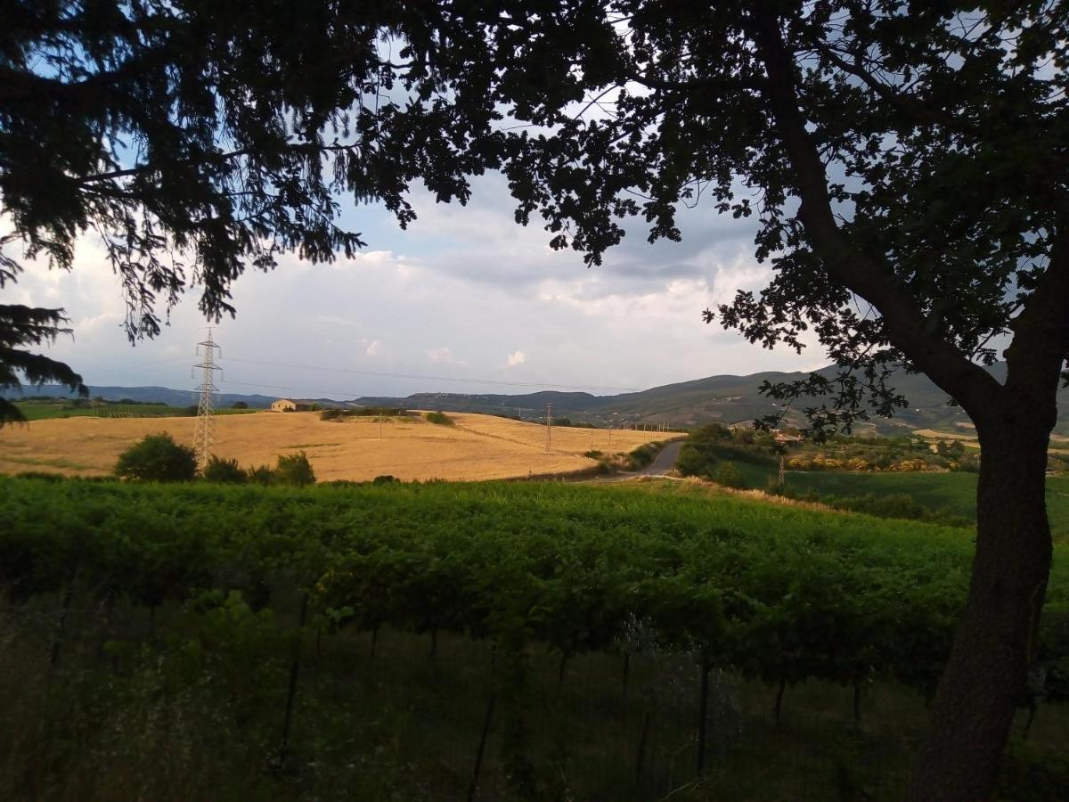 B&B La Gallinella Rossa Baschi Bagian luar foto