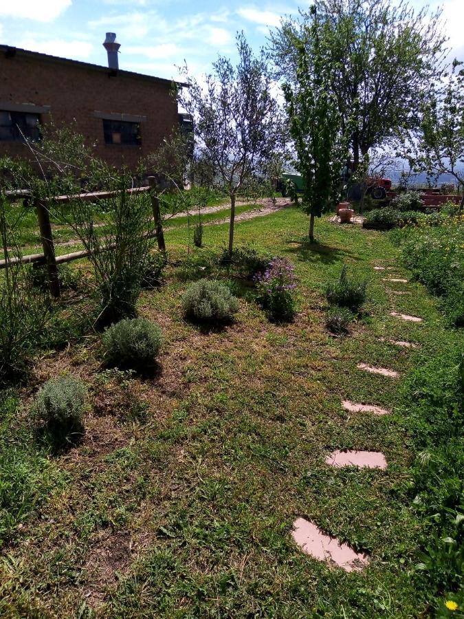 B&B La Gallinella Rossa Baschi Bagian luar foto
