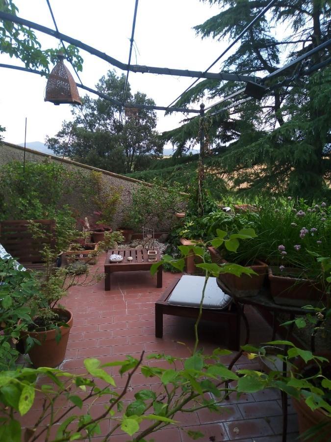 B&B La Gallinella Rossa Baschi Bagian luar foto