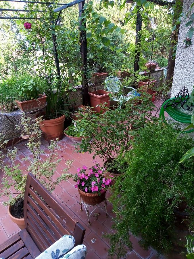 B&B La Gallinella Rossa Baschi Bagian luar foto