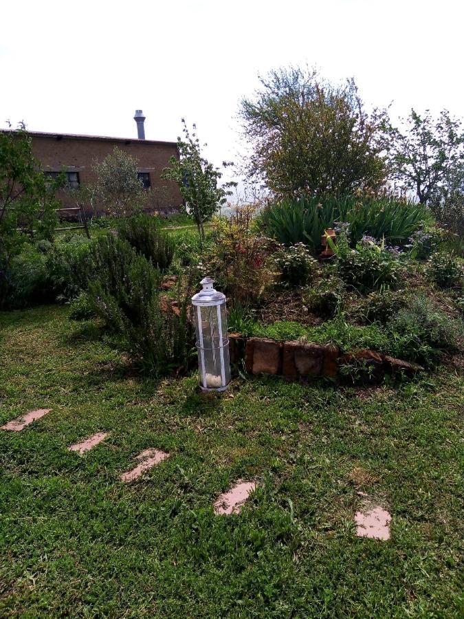 B&B La Gallinella Rossa Baschi Bagian luar foto