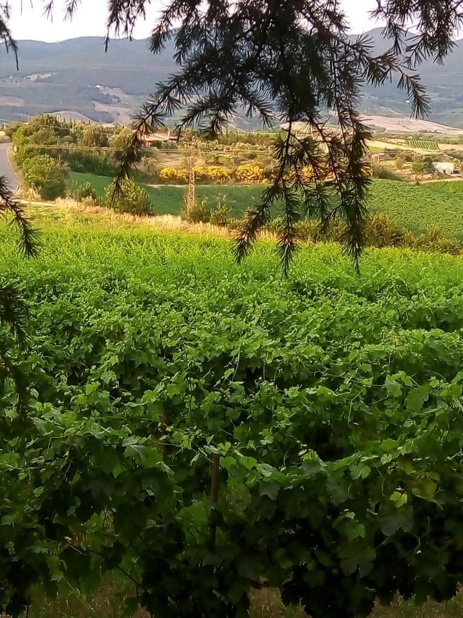 B&B La Gallinella Rossa Baschi Bagian luar foto