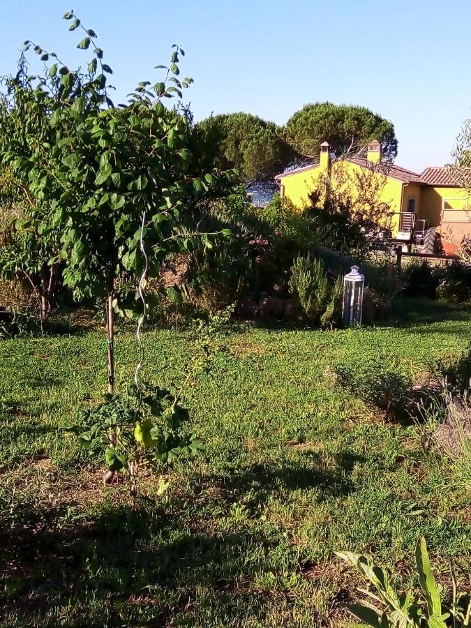 B&B La Gallinella Rossa Baschi Bagian luar foto