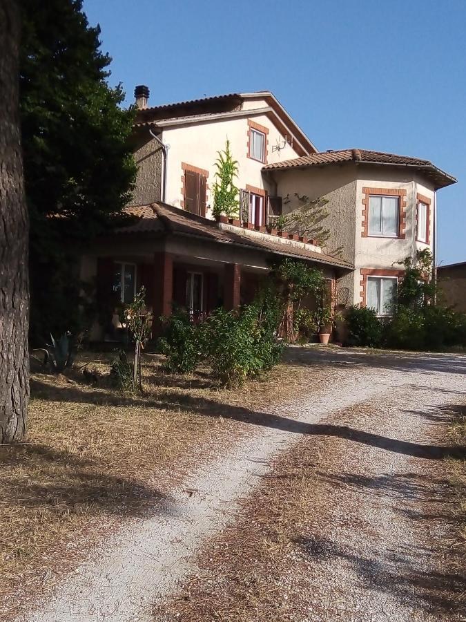 B&B La Gallinella Rossa Baschi Bagian luar foto
