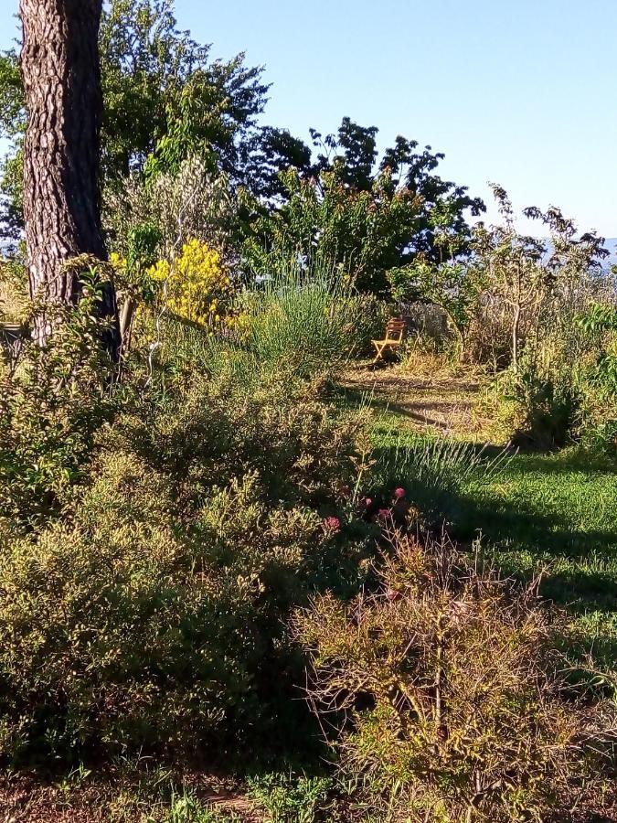 B&B La Gallinella Rossa Baschi Bagian luar foto