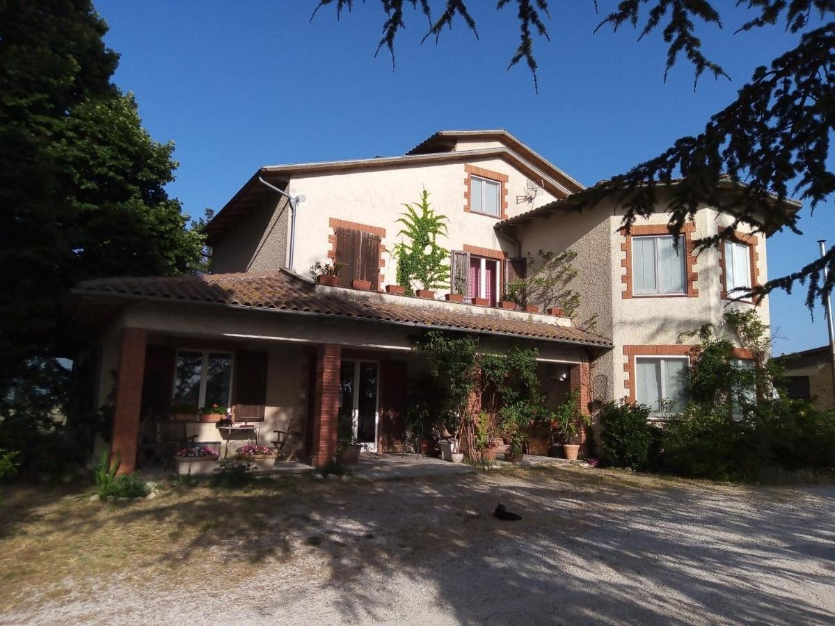 B&B La Gallinella Rossa Baschi Bagian luar foto